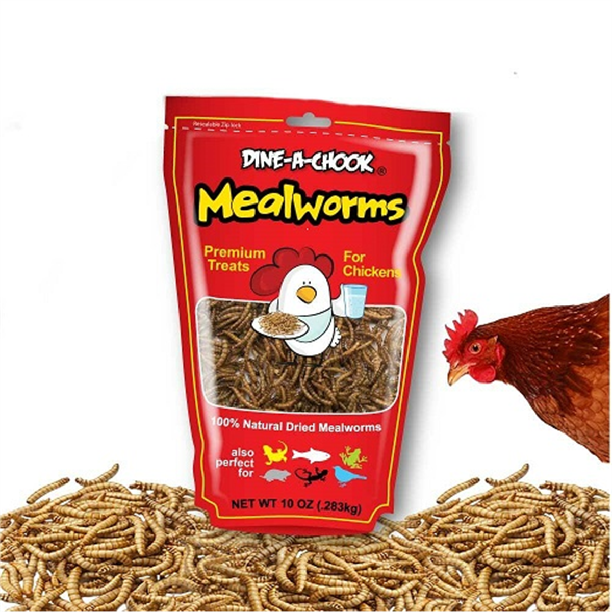 DINE-A-CHOOK MEALWORMS 283GM