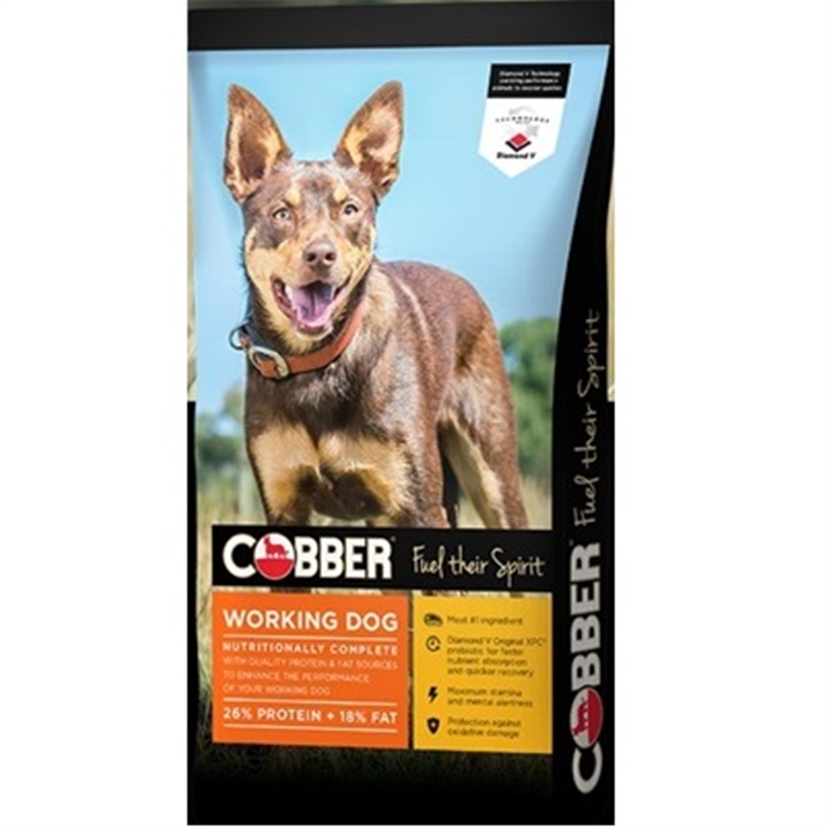 COBBER WORKING DOG 20KG