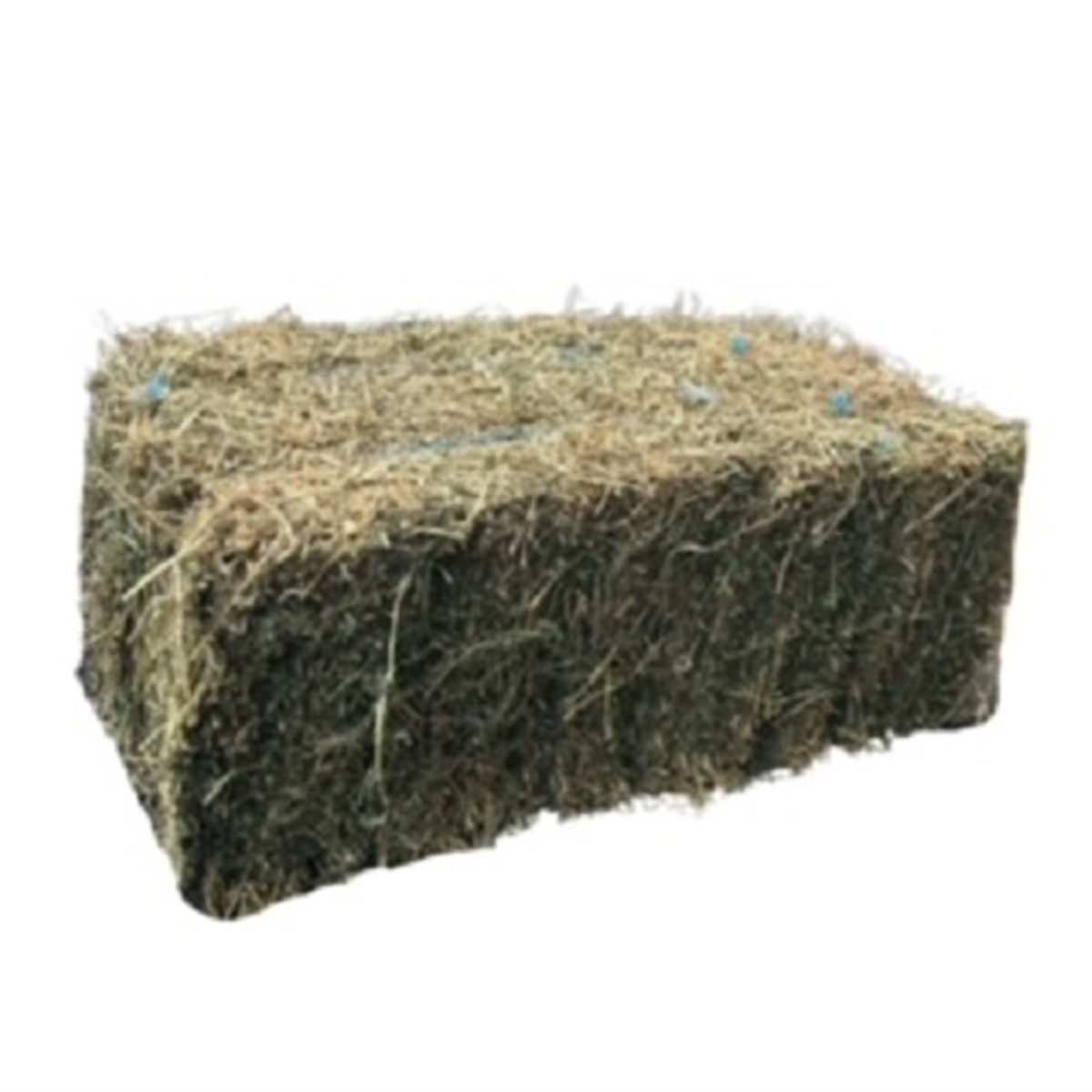 HAY BALE PRIME LUCERNE (2ND CUT)