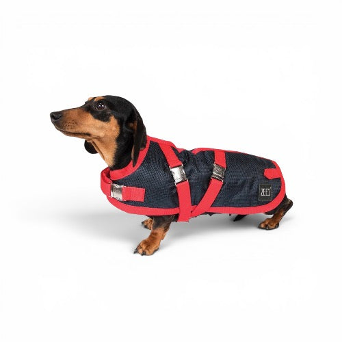 ZEEZ SUPREME DACHSHUND DOG COAT NAVY STONE/RED 43.5CM SIZE 17 68-D360117