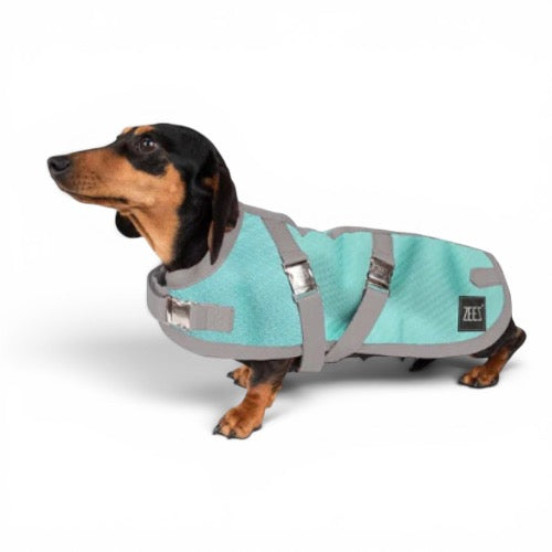 ZEEZ SUPREME DACHSHUND DOG COAT MINT GREEN 43.5CM SIZE 17 68-D361117