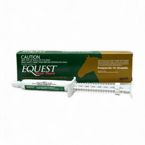 EQUEST PLUS TAPE 11.89GM